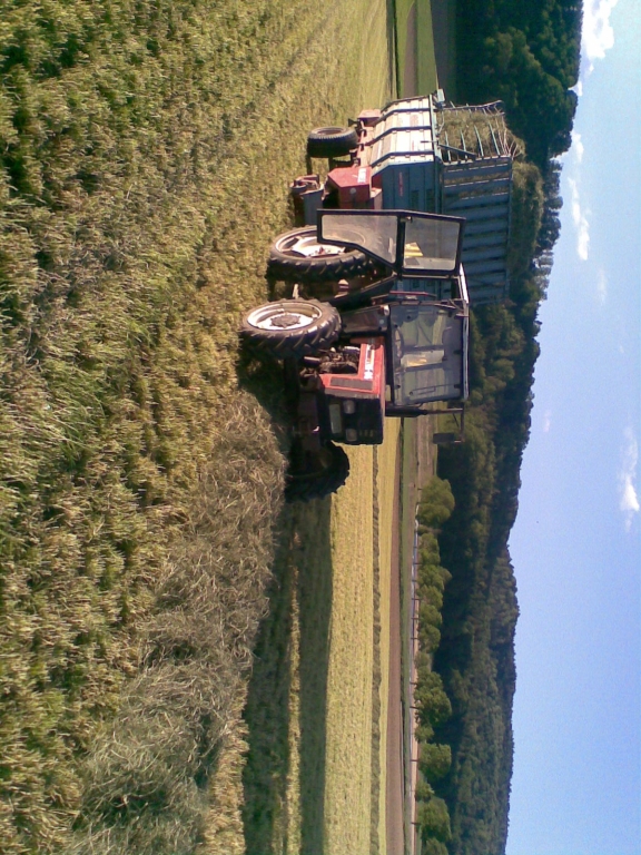 Eichlihof Schär Mülchi